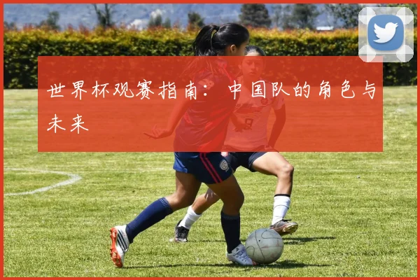 世界杯观赛指南：中国队的角色与未来