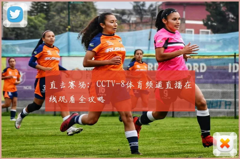 直击赛场：CCTV-8体育频道直播在线观看全攻略