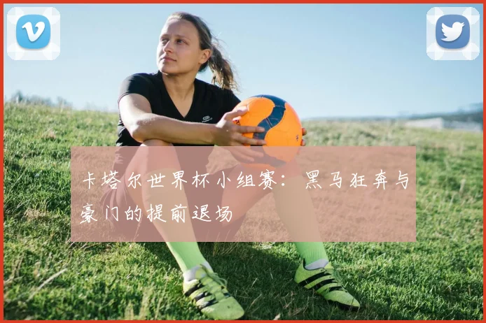 卡塔尔世界杯小组赛：黑马狂奔与豪门的提前退场