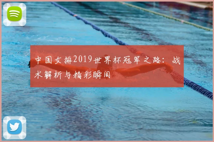中国女排2019世界杯冠军之路:战术解析与精彩瞬间